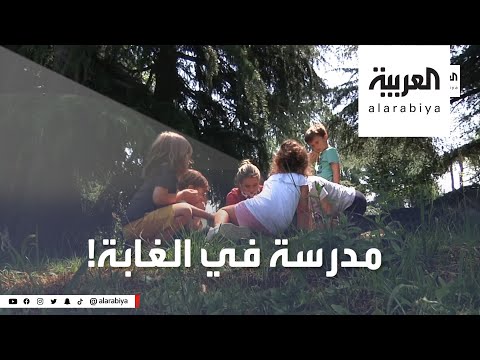 اليمن اليوم- شاهد: معلمة إيطالية تبتدع "مدرسة الغابة" وتتحدى كورونا1710742/0