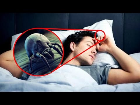 بالفيديو 10 حقائق مخيفة لا تعرفها عن سريرك