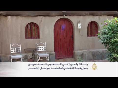 شاهد واحات زاغورا في المغرب تستقطب الزوار