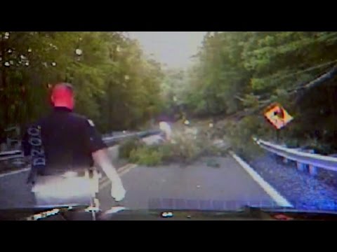 بالفيديو شاهد شجرة تسقط على شرطي حاول إزالة فرعها من الطريق