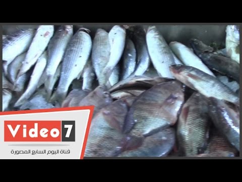 بالفيديو شاهد معلومات تهمك عن أسعار السمك فى رمضان