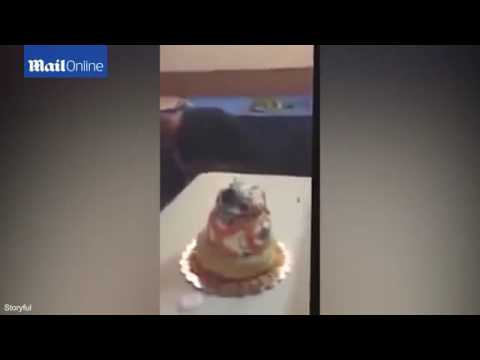 امرأة تحطم كعكة عيد ميلادها بوجهها لتحصل على مفاجأة