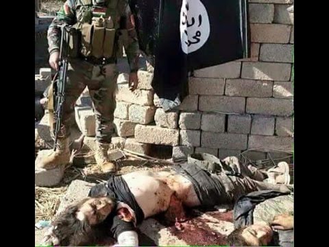 شاهد البيشمركة تقتل 400 شخص منتمين إلى داعش