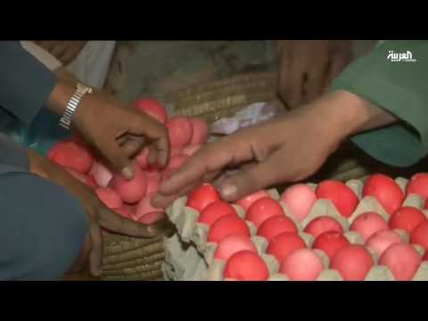 بالفيديو مسابقة البيض الملوّن في باكستان