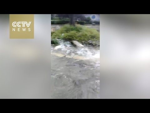 بالفيديو الأسماك تسبح فى شوارع الصين بشكل غريب