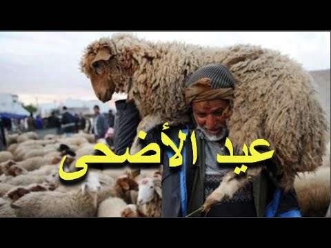 فيديو فلكي مغربي يبشر المغاربة بموعد عيد الأضحى في المغرب لسنة 2016
