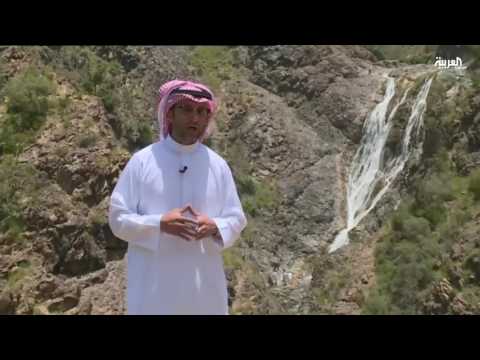 بالفيديو ختام السياحة في الباحة
