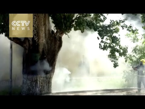 شاهد لحظات إنقاذ شجرة صينية تبلغ 100 عام