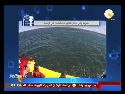 فيديو حوت ضخم يمر أسفل قارب لسائحين في فرنسا