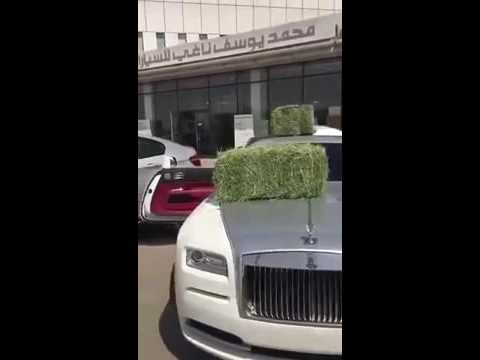 شاهد أمير سعودي يضع أعلاف الأغنام فوق سيارته رولز رايس