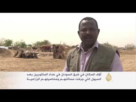 شاهد تداعيات السيول على أهالي شرق السودان