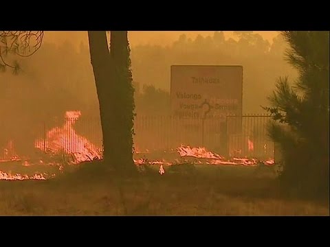فيديو مئات الحرائق بسبب الحرّ في البرتغال