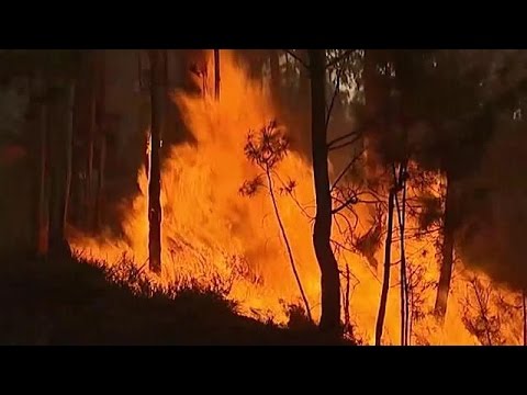 بالفيديو حرائق الغابات تطال جزيرة ماديرا البرتغالية في المحيط الأطلسي