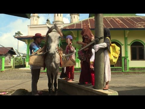 مكتبة الحصان تنشر المعرفة في أرجاء نائية من إندونيسيا