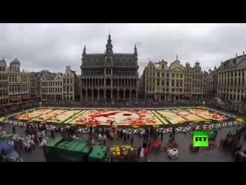 سجادة تتكون من 600 ألف زهرة تزين الساحة المركزية في قلب العاصمة البلجيكية