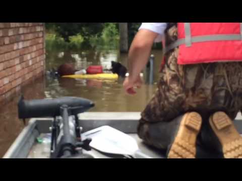 بالفيديو متطوعون يغامرون بأنفسهم لإنقاذ الحيوانات من الطوفان