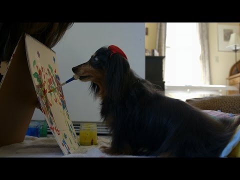 بالفيديو  كلبة تتعلم الرسم بعد أن فقدت بصرها