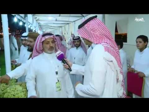 مهرجان للعنب في مدينة الطائف السعودية
