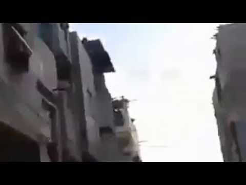 بالفيديو إطلاق النار على عجل حطم السيارة التي نقلته في قطاع غزة
