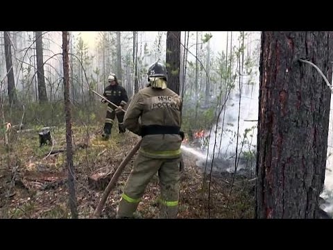 بالفيديو السلطات الروسية تعمل على احتواء حرائق الغابات في سيبيريا
