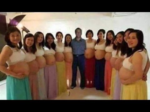 شاهد رجل متزوج من 13 امرأة وجميعهن حامل في الشهر نفسه
