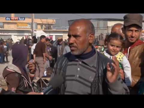 الحياة تعود تدريجيًا من جديد إلى كوكغلي