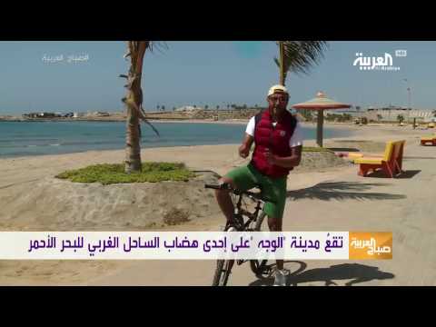 بالفيديو جولة في ضباء على ساحل البحر الأحمر