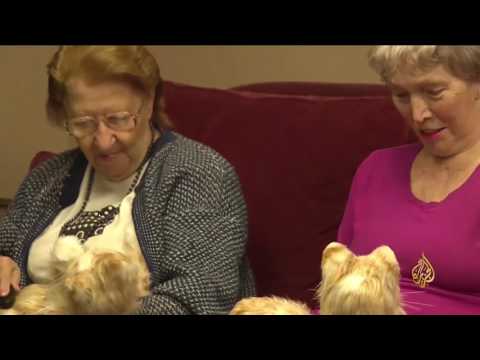 شاهد ابتكار قطط إلكترونية مؤنسة للمسنين