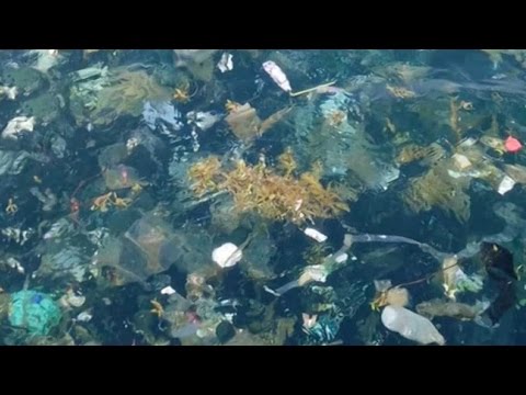 العثور على جزر من القمامة في خليج تايلاند