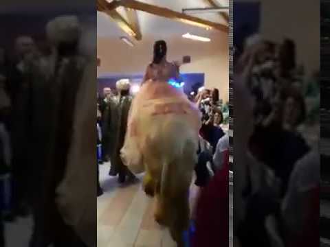 حصان يضع عروسًا في موقف محرج داخل قاعة الزفاف