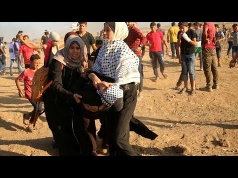 مقتل ثلاثة فلسطينيين وإصابة العشرات برصاص قوات الاحتلال على حدود غزة