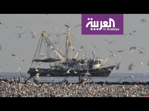 شاهد المدرسة الحافلة تنقذ ألف طفل من الجهل في سورية