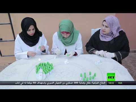 نبتة السكر مشروع طموح بديل للسكر الطبيعي في غزّة