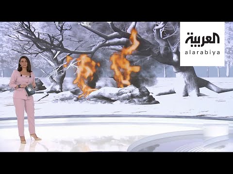 غازات الأشجار المحترقة تهدد الحياة على الأرض