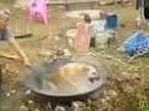 مزارع صيني يضع كلبًا حيًا في قدر يغلي