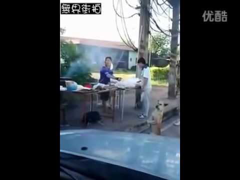 بالفيديو كلب ضال يتسول الطعام من الزبائن بطريقة مهذبة